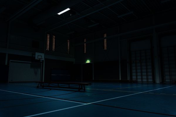 INOTEC Noodverlichting SNP 8030 duurzame, robuuste, bal- en slagvaste vluchtrouteaanduiding armatuur 